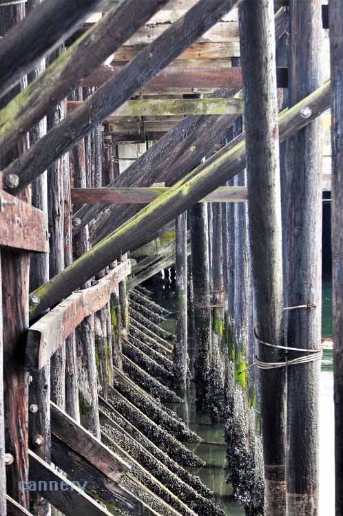pier